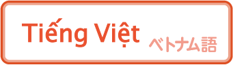 Tiếng Việt ベトナム語